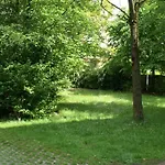 Basic Living